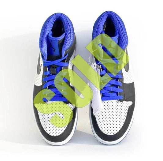 Nike Air Jordan 1 Alpha Zoom Air Royal Sample NEW Size 9