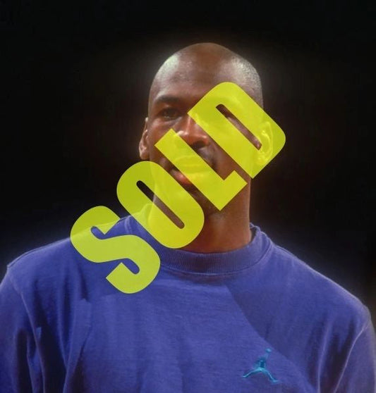 Nike Air Jordan 6 VI 1991 Heavyweight Tailored T-Shirt Purple
