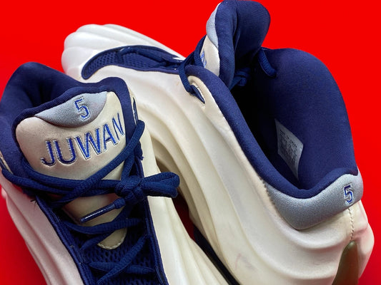 Nike Air Foamposite Signature Player Juwan Howard PE